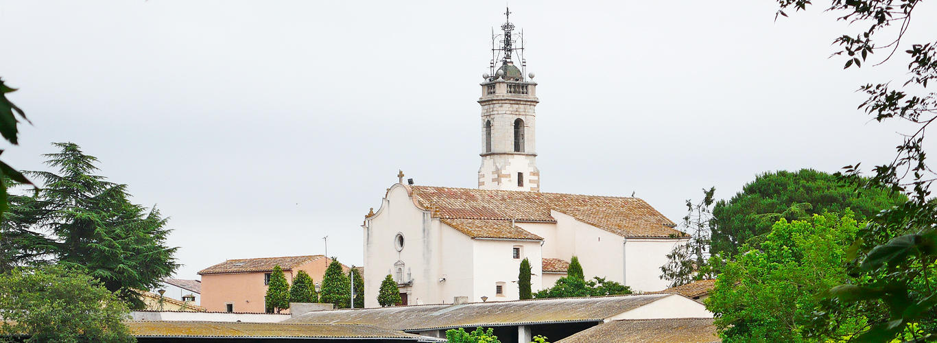 sils-2