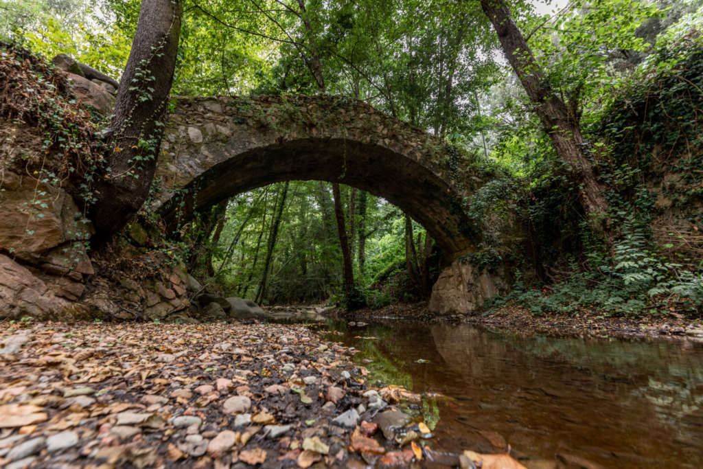 Vescomtat-de-Cabrera.David-Rueda.Pont-del-Moli-de-les-Pipes-1-scaled