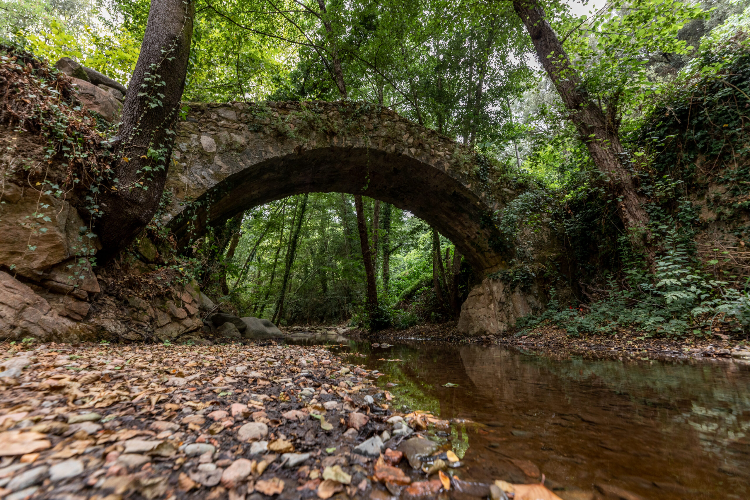 Vescomtat-de-Cabrera.David-Rueda.Pont-del-Moli-de-les-Pipes-1-scaled